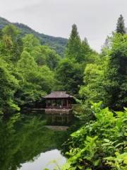 Longshan Green Valley Natural Oxygen Bar