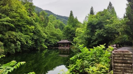 Longshan Green Valley Natural Oxygen Bar