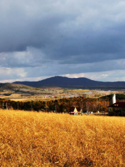 Jinquan National Forest Park