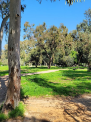 Ilanot Arboretum Visitor Center