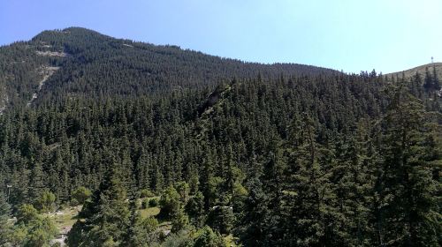 Qingsongling Canyon