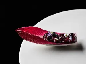 Top 9 Fine Dining in San Diego