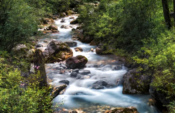 官鵝溝門票 + 觀光車長者（60-69歲）