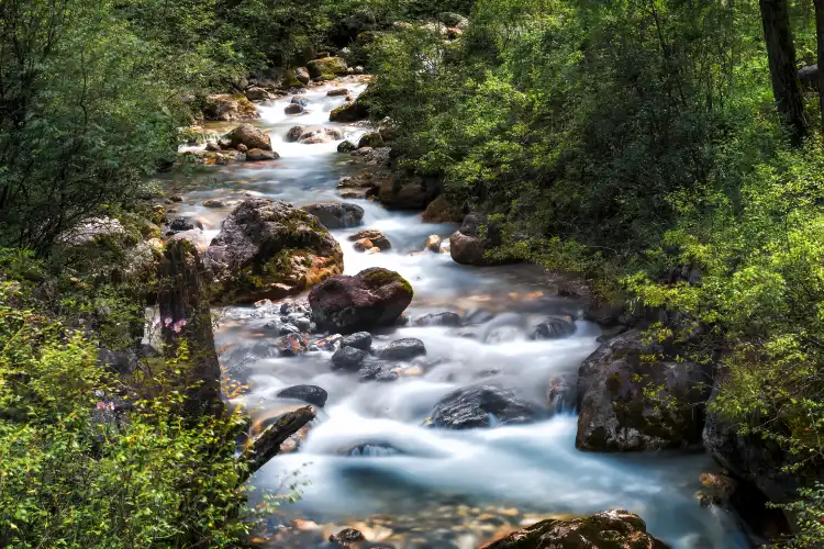 Hotels near Hadapu Conference Site
