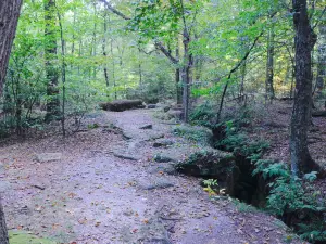 Nelson-Kennedy Ledges State Park