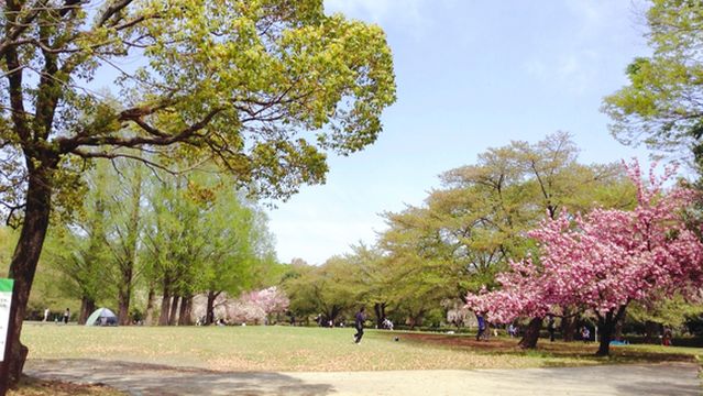 Omiya Second Park