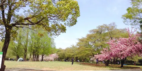 大宮第二公園