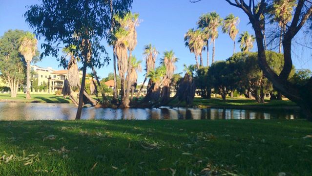 Sir James Mitchell Park