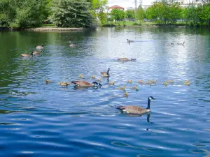 Julia Davis Park
