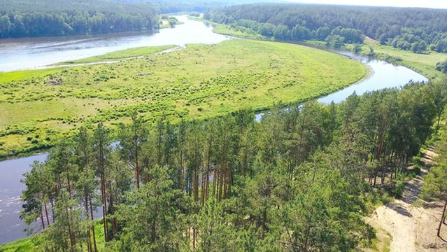 Merkinė observation tower