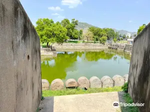 포르 벨로르