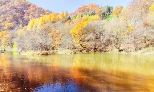 จุดชมวิวนิเวศวิทยาไคโกว