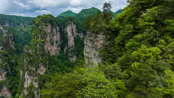 장가계 국가삼림공원 일일 투어 (입장권 + 영어 가이드)