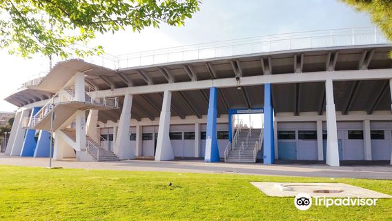 Stadio Adriatico