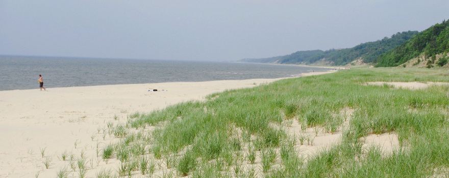 Saugatuck Dunes State Park