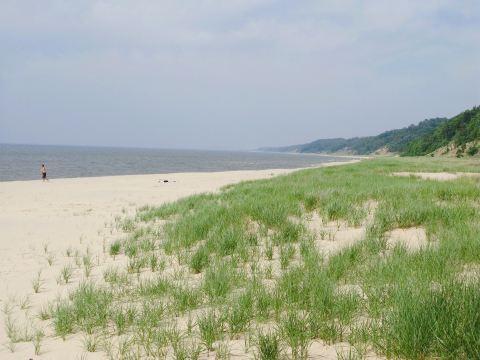 Saugatuck Dunes State Park