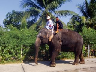 Flights Lampang to Don Mueang International Airport