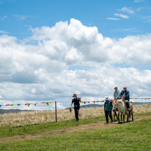 甘南騎馬