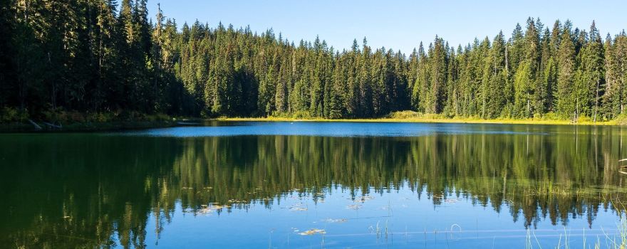 Chambers Lake Access