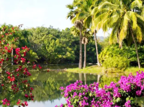 สวนป่าดั้งเดิมซีซวงปานา