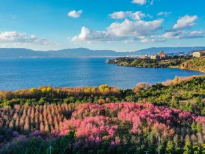 Fuxian Lake