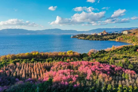 Fuxian Lake