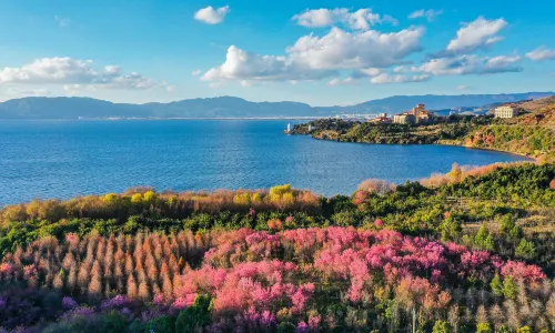Fuxian Lake
