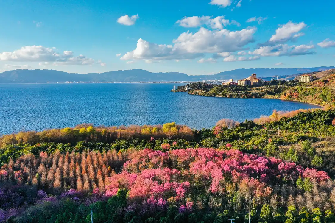 Hotels near Fuxian Lake