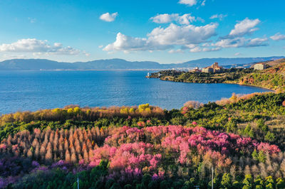 Fuxian Lake
