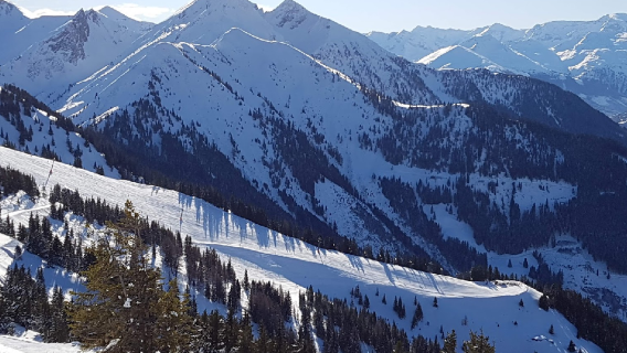 Dorfgasteiner Bergbahnen AG