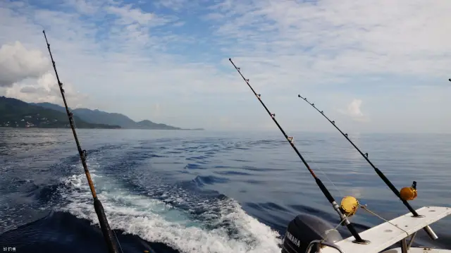 Rizhao Sea Fishing