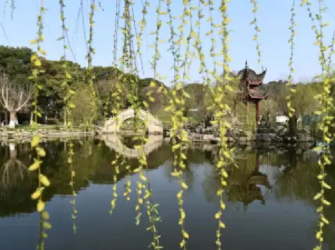 岳陽の春旅におすすめ・トップ10
