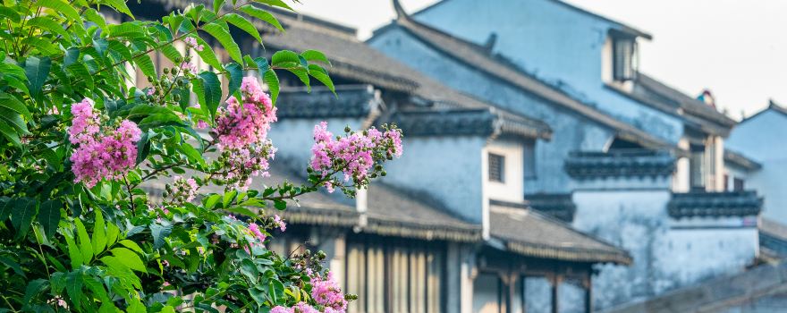 Shaxi Ancient Town