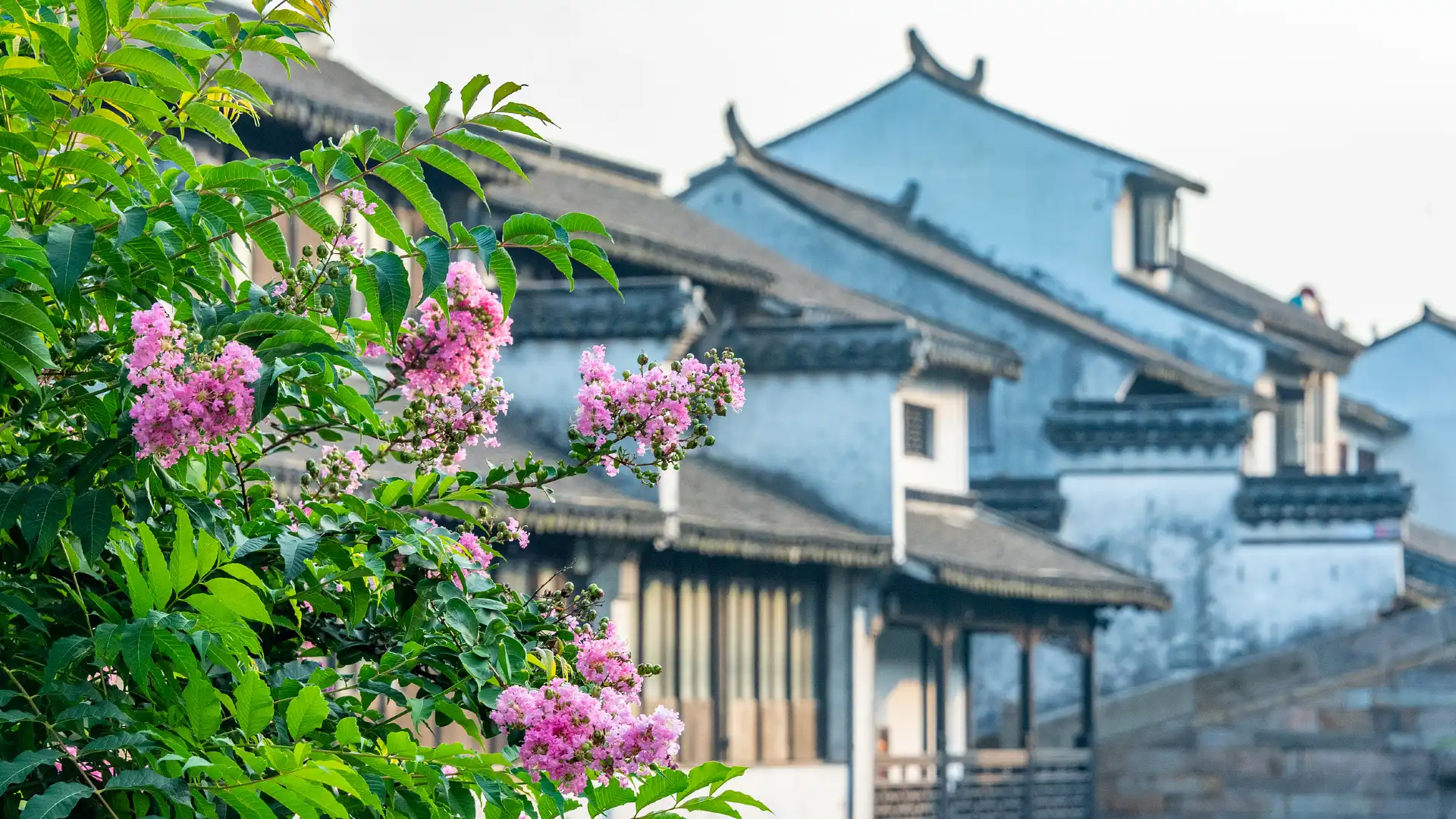 沙溪古鎮附近的飯店