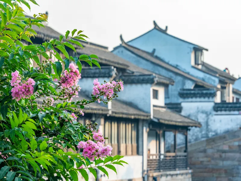 타이창