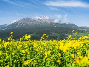 Ami Dongsuo Scenic Spot