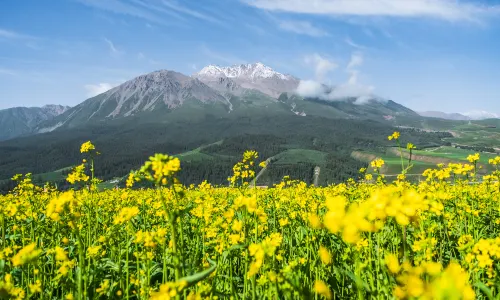 Ami Dongsuo Scenic Spot
