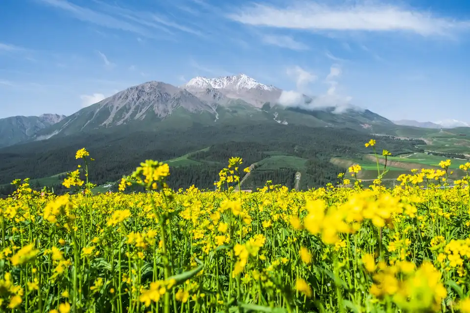 5_Ami Dongsuo Scenic Spot