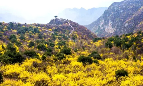 Yuntai Mountain Scenic Area