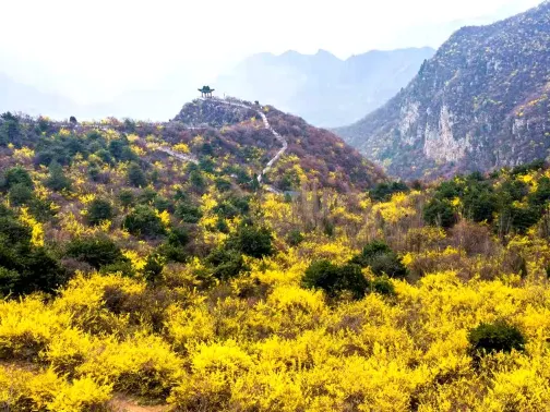 雲台山風景名勝區