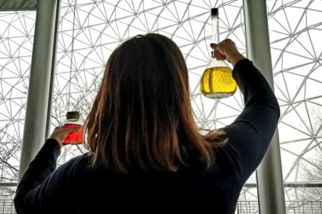 Écolab | The Biosphere, Environment Museum