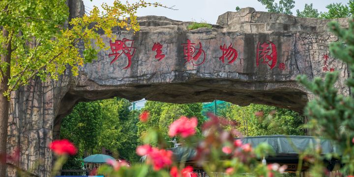 Hefei Safari