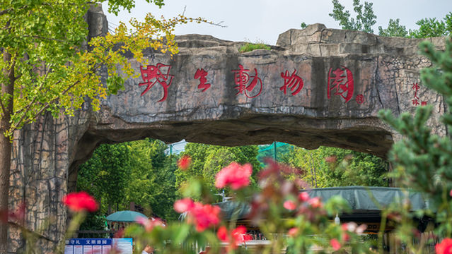 Hefei Wildlife Park