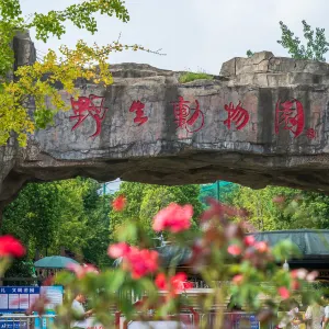 合肥野生動物園