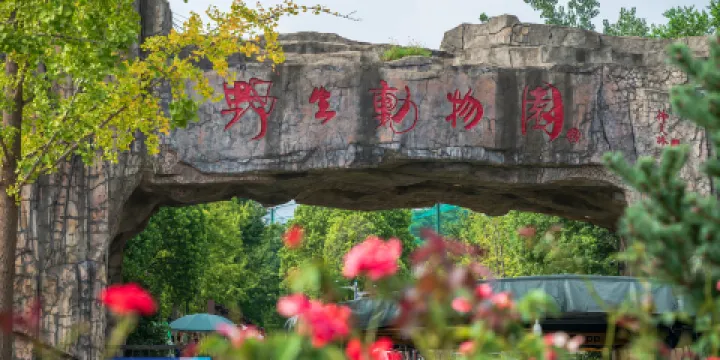 合肥野生動物園