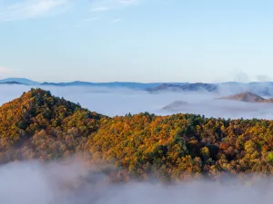 Jinzufeng Scenic Area