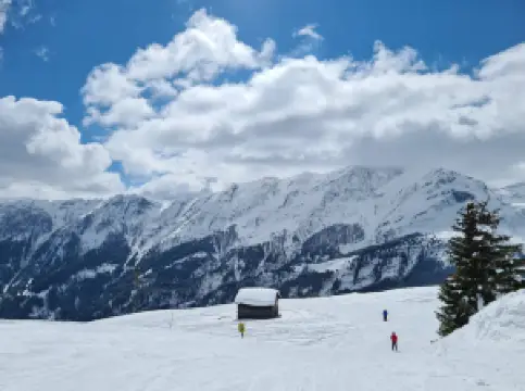 Skilifte Tschappina-Lüsch-Urmein AG Oberurmein