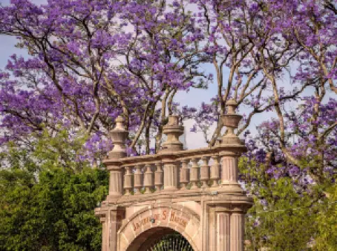 Popular Spring Outings in Aguascalientes