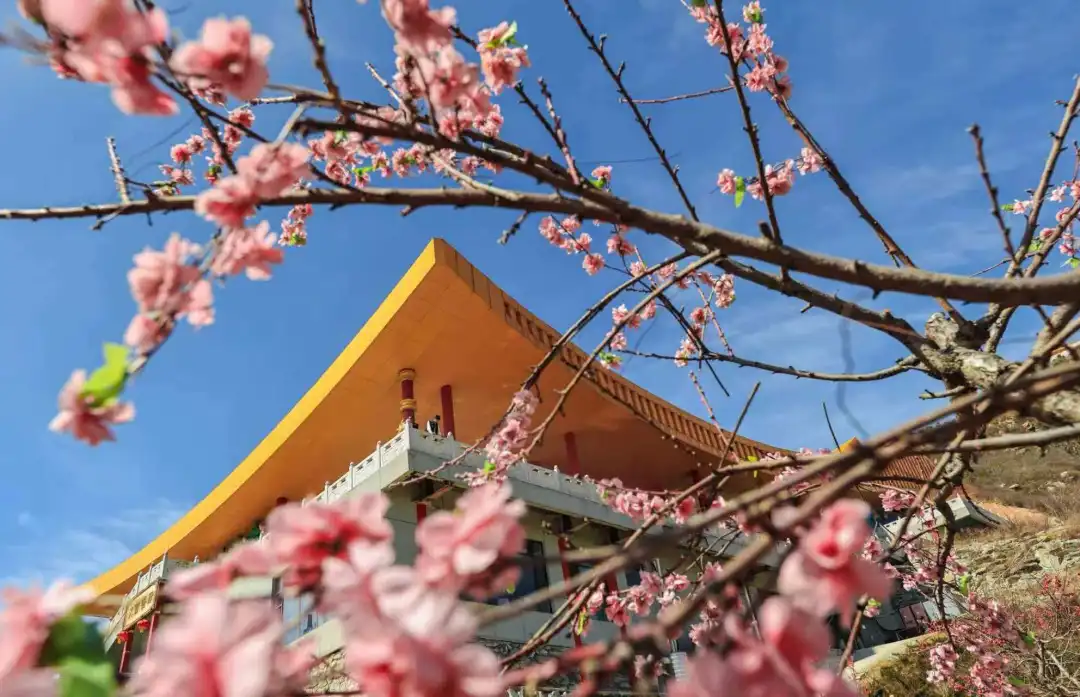 王母山桃花節國風暢遊季 | 平山