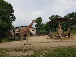 Zoo Bratislava